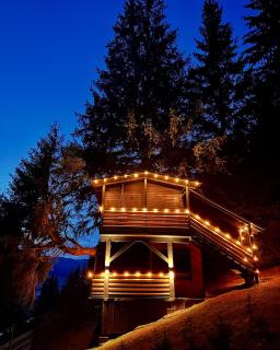 Dorna TreeHouse - Şaru Dornei - 1
