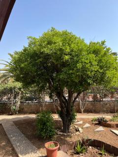 Zen villa à Agadir Soleil et Jardin - Agadir - 3