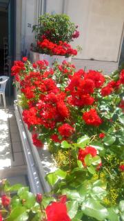 Antica Puglia - Alberobello - 3