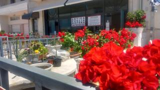 Antica Puglia - 4
