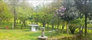 Quinta do Tojos - Bicas - 9