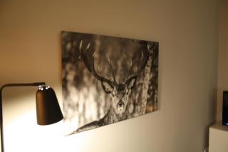 CHALET ANTON Braunlage Design Apartment - 4