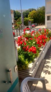 Antica Puglia - Alberobello - 7