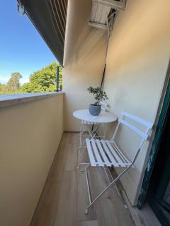 Florida Sunshine - Ardea - 8