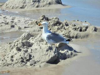 Bugalow in Insel Poel for 2 Person - Insel Poel - 4