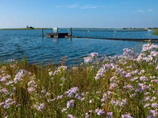 Bugalow in Insel Poel for 2 Person - Insel Poel - 3