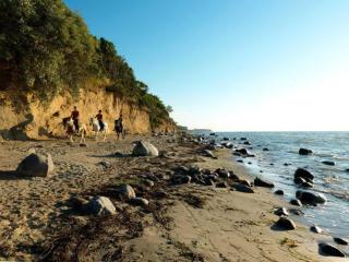 Bugalow in Insel Poel for 2 Person - Insel Poel - 1