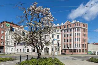 Bright Loft Studio in Old Town Riga - Rīga - 4