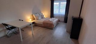 Cozy and modern apartment near Brno city center - Husovice - 8