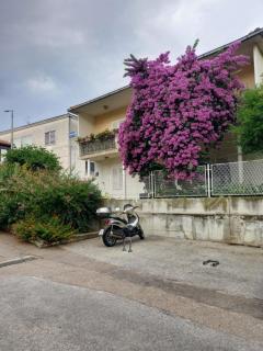 Rooms Mirjana - Trogir - 7