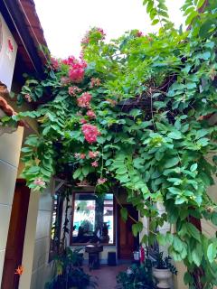 Liên Tho Hotel Phú Quốc - Phú Quốc - 5