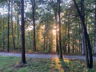 River Ridge Cabins - Mountain View - 0