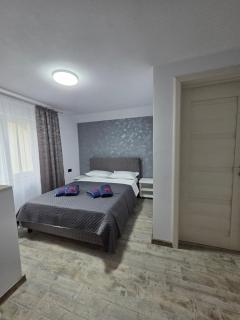 Casa Puiu - 4