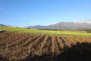 Gilgal Guest Accommodation - Onder-Papegaaiberg - 4