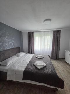 Casa Puiu - Câmpulung Moldovenesc - 8