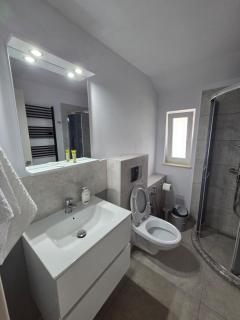 Casa Puiu - Câmpulung Moldovenesc - 9