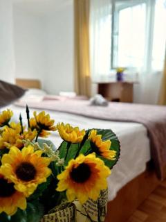 Vila Raysa și Andrei - Costinesti - 8