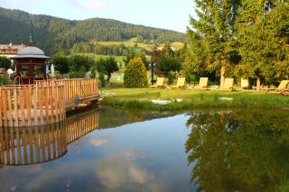 Alpen Hotel Eghel - Folgaria - 8