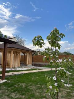 Casa Seren - Corabia - 1