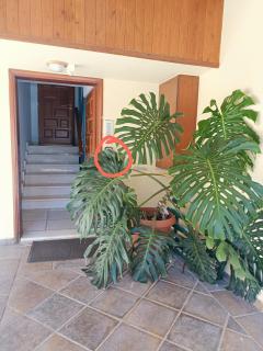Penthouse - Chania - 8