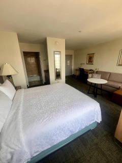 Staybridge Suites Austin Airport by IHG - Austin - 8