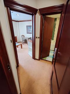 Apartman centar za do 4 osobe - Novi Sad - 1