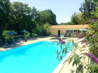Chalet 4 étoiles - Piscine - eehefh - Coulon - 8
