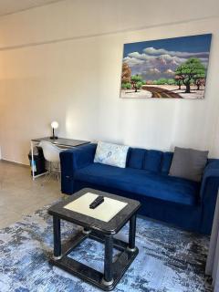 CMH Apartment 3 - Johannesburg - 1