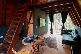 Hotel Fazenda Gabro - A-frame - 7