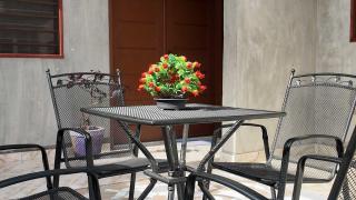The Tropical Nest - Cotonú - 1