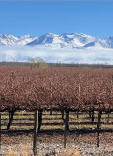 Casita Lagunas - Mendoza - 9