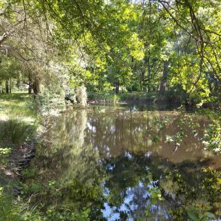 studio 1 - Talais - 2