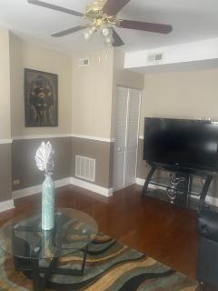 Luxury 3BR, 1BA-5mins from Hyde Park - Chicago - 6