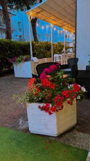Hotel Dream - Rimini - 6