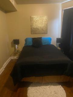 Luxury 3BR, 1BA-5mins from Hyde Park - Chicago - 1
