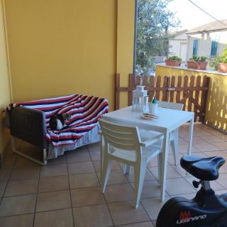 Relax al mare - Silvi Paese - 9