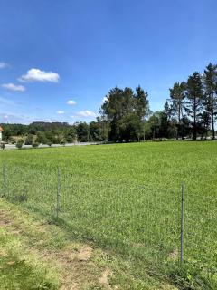 Casa con piscina en Santiago cerca del camino inglés - Santiago de Compostela - 5