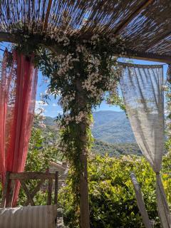 Casa Di mamou - Loreto-di-Tallano - 5