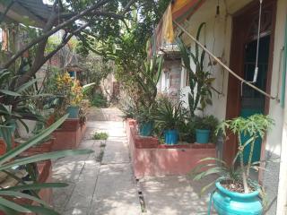 casa los patos - Città di Oaxaca - 4