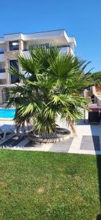 Apartments Albatross - Novalja - 4