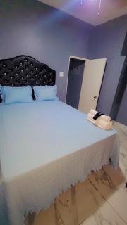 Wild Orchid Bloom-Blue Lemon - Mandeville - 8