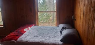 Elegant Cabin in the Woods - Franklin - 9