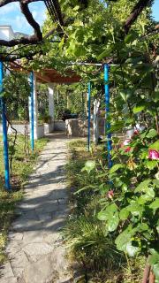Apartments Rolovina - Tivat - 6