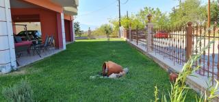Giotas Home - Drama - 5