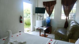Room in Apartment - Sea View Bedroom w Garden, Pool Deck by Airport - Belize City - 8