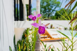 Ammos Villas - Nicoya - 0