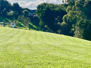 Moko Hiwi Escape Ruakākā - Kiwi King Studio Escape - 2