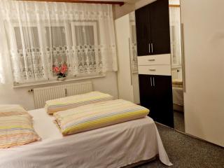 Holiday Apartment near Triberg Waterfall - Triberg im Schwarzwald - 7