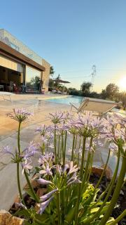 Exceptional villa and pool - Foligno - 2
