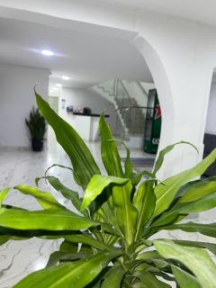 Lago Hotel Cartagena - 7